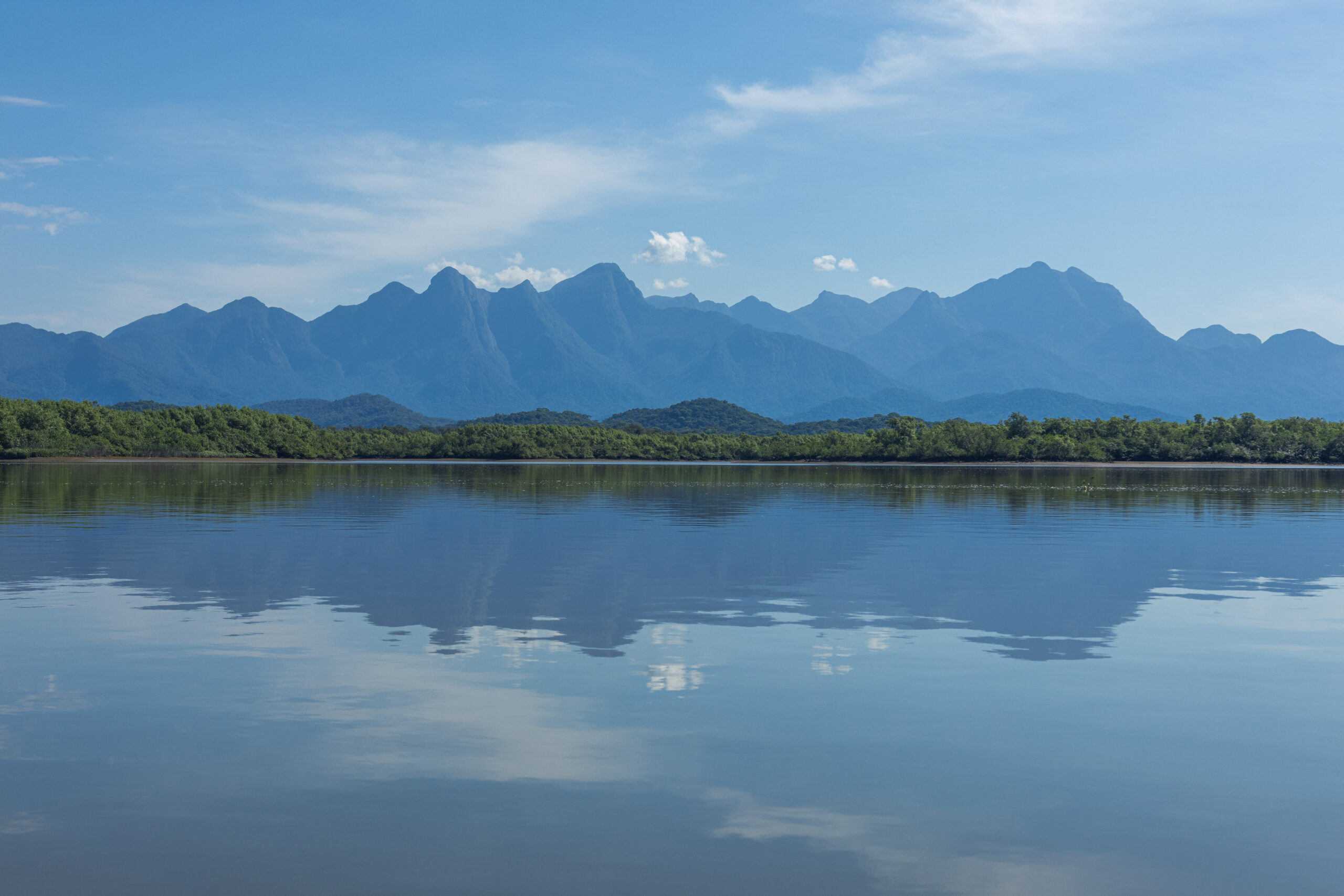 Vale do Gigante, em Antonina, no Brasil / Giant Valley, in Antonina, in Brazil