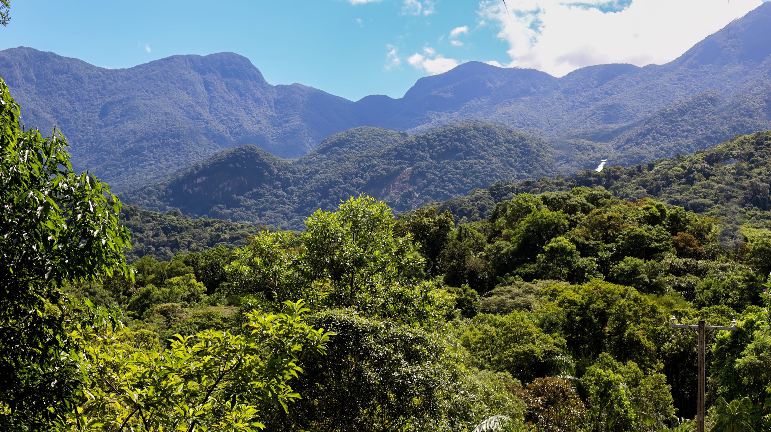 Linha temática Avaliação de Impactos